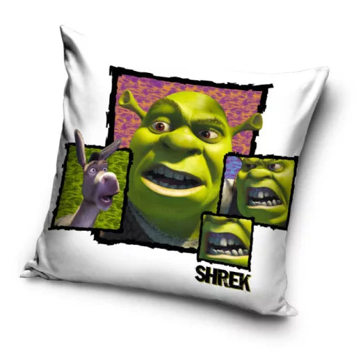 🧅🔥 Taie d’oreiller – Shrek Fury – 40x40 cm – effet velours – coussin inclus
