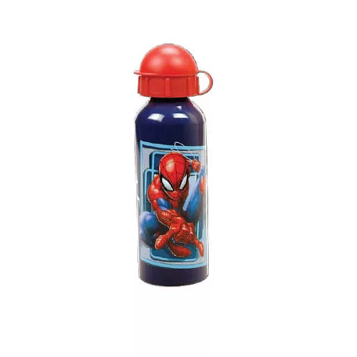 🕷️ Bouteille Spiderman World – 520 ml