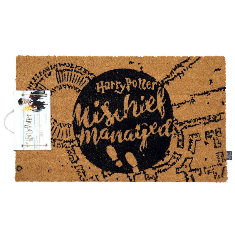 🪄⚡ Paillasson Harry Potter – “Malheur accompli” – 60 × 40 cm