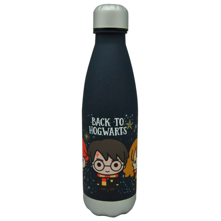 🧙♂️🏰 Bouteille Harry Potter – Retour à Poudlard (650 ml)